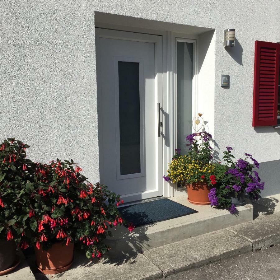 Ferienwohnungen Haus Bergflora Bach  Εξωτερικό φωτογραφία